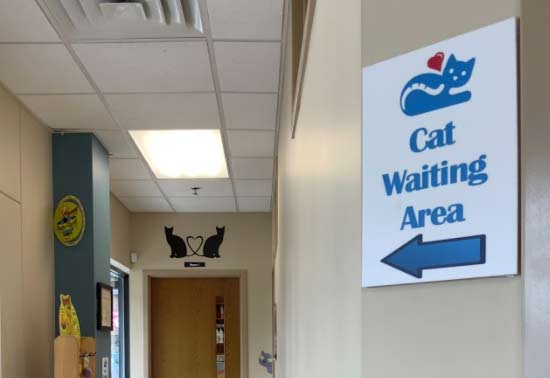 WESTONKA ANIMAL HOSPITAL  IS A CAT-FRIENDLY PRACTICE!